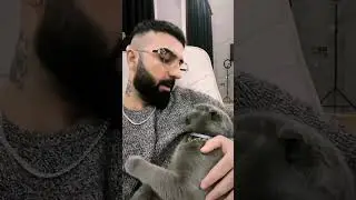 Paster xeber saytlarına diss, 16+