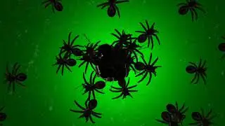 Green Screen, Spiders