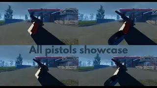 Pistol Showcase | Project Delta