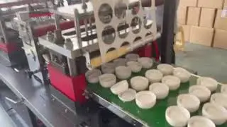 Automatic Plastic Disposable Cup Lid Bowl Tray Container Thermoforming Machine