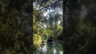 Who would you bring with you to take a clear kayak tour? 📍Rock Springs | Kings Landing