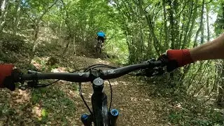 Rocky Mountain Element - Gorgeat