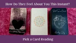😍What Are Their Feelings For You This Instant? 😘Timeless Pick a Card Love Reading❤