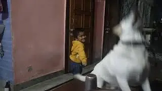 enjoying with#dogs lover