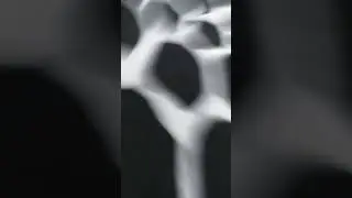 4 мая 2024 г.