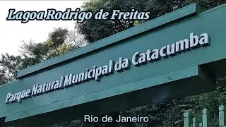 Na Trilha do Parque Natural Municipal da Catacumba, o maior parque do município. #riodejaneiro