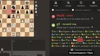 Спасский-Фишер, Рейкьявик, партия 13: как играют чемпионы мира