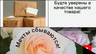 Обзор роз из питомника Максироуз. Весна 23. 