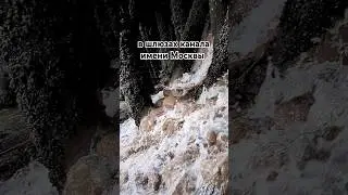 Лучше ходить по шлюзам, чем на работу 😏