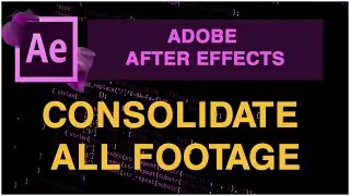 Consolidate All Footage feature from After Effects
