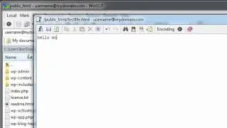 How to manage your files inside of WinSCP