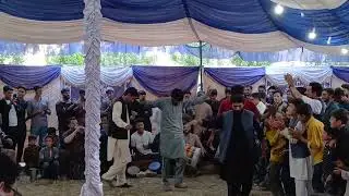 Culture Dance / GB Culture Dance/ Hareep a ghizer