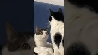 don't underestimate my charm