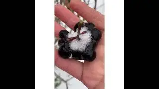14 ОКТЯБРЯ -ПОКРОВ ПРЕСВЯТОЙ БОГОРОДИЦЫ#покровбогородицы #алтайскийкрай #барнаул #вераидуховность