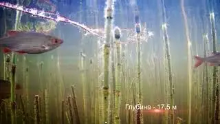 Озеро Дго
