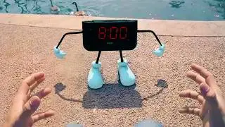Craziest Creatures - Compilation