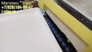 Улей 10 рамочный ППС