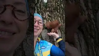 кишенькова білка