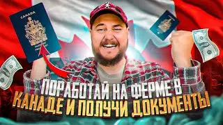 ПОРАБОТАЙ НА ФЕРМЕ В КАНАДЕ И ПОЛУЧИ ДОКУМЕНТЫ