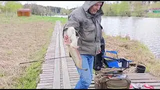 Светлые Горы Сом 29.04.2023г.