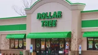 Fall/Halloween Dollar Tree Haul 8-23-22
