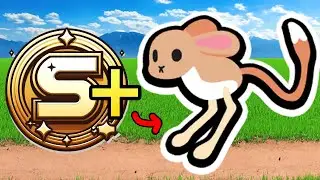 The Jerboa IS ABSOLUTELY BUSTED!