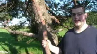 redneck instructional video 1