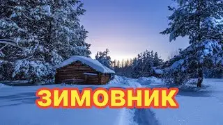 Заношу пчёл в зимовник.