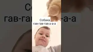 11 июня 2024 г.