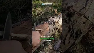ВЫБОР ЛУЧШЕЙ СТАЛИ ДЛЯ НОЖА?! 