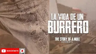 Cuál es el precio del sueño americano: LA VIDA DE UN BURRERO