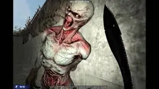 7DaysToDie II