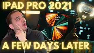 M1 iPad Pro | Honeymoon Phase - FIRST CLICKS