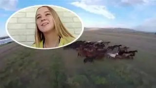 РусскиеРифмы  Джанкой 2020