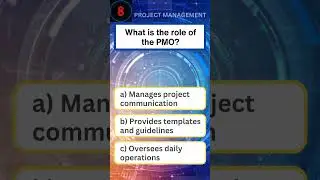 The Hidden Powers of Project Management Office Revealed