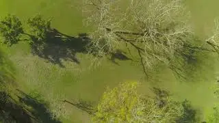 The Wall | FPV Freestyle