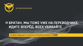 «Братан, мы тоже уже на переводчике: идите вперёд, всех убивайте»