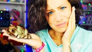 ПРОЩАЙ ХОМЯК РИКИ! ЧТО Я СДЕЛАЛА С ХОМЯКОМ И ПОЧЕМУ? Magic Family