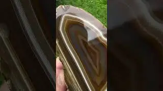 Craziest one yet!