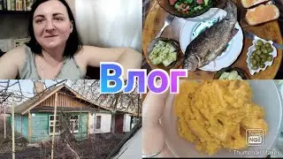 Как и за сколько купили дом /Детские пособия / Засолила икру / Готовлю рыбу / Что купила на рынке