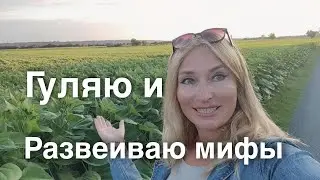 Как НЕ делается революция во Франции.