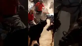 Човандози дар шари куроб🐴🐴🐴