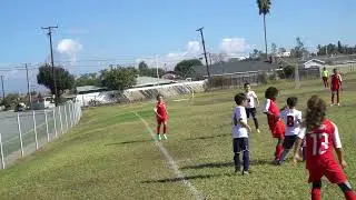 PSC96 2013 111322
