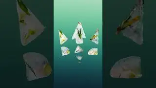 Graphyc Batalion - Intro