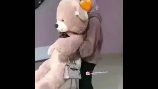 Teddy bear and girl with hidjab 🧕🐻💜💜💜💜💜💜💜💜So cute🤩🤩🤩🤩🤩🤩🤩😍😍😍😍😍😇😇😇😇😇💜💜💜💜💜💜💜💜🕶💜💜
