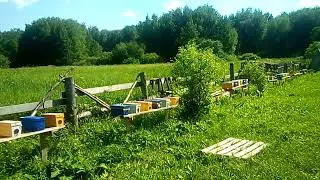 вечерний облёт, не всё потеряно.