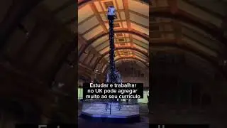 OS MOTIVOS QUE VOCÊ PRECISAVA PARA FAZER INTERCÂMBIO VOLUNTARIO NO REINO UNIDO! #london #england