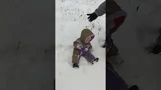 2 декабря 2023 г.