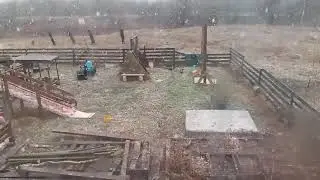 4 мая! И снег!!! А бабушка собиралась сеять цветы...