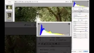 Brightness and Constrast Controls.screenflow